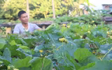 Mâm ngũ quả đặc biệt của lính Trường Sa trong ngày Tết